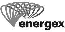 energex logo